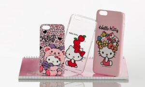 Hello Kitty Case