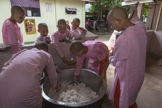 Water damage magic rice