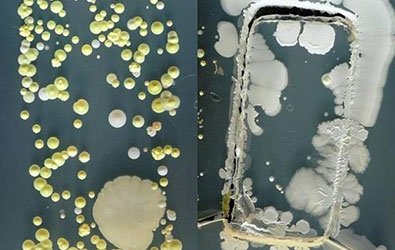 Coronavirus panic feature image