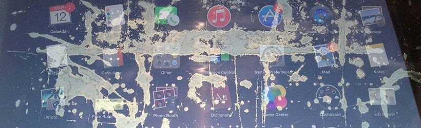 service programs staingate